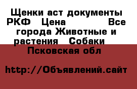 Щенки аст документы РКФ › Цена ­ 15 000 - Все города Животные и растения » Собаки   . Псковская обл.